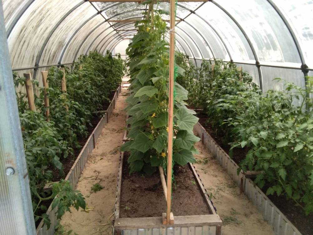 photo_2026-03-18_10-59-38