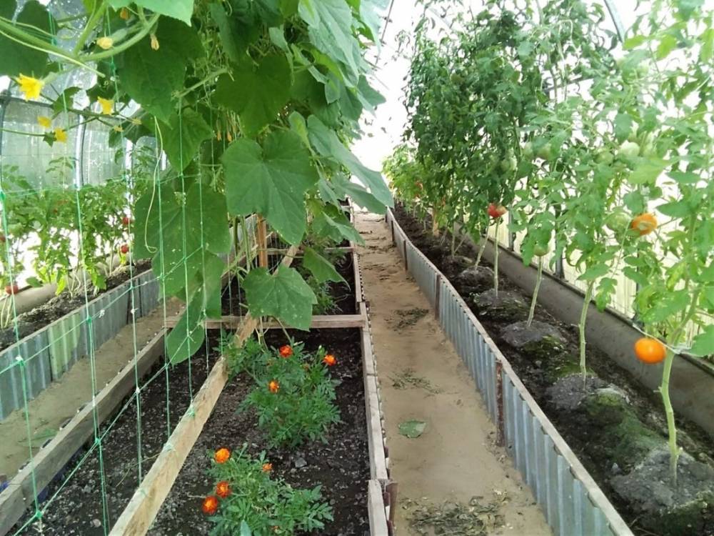 photo_2026-03-18_11-00-35