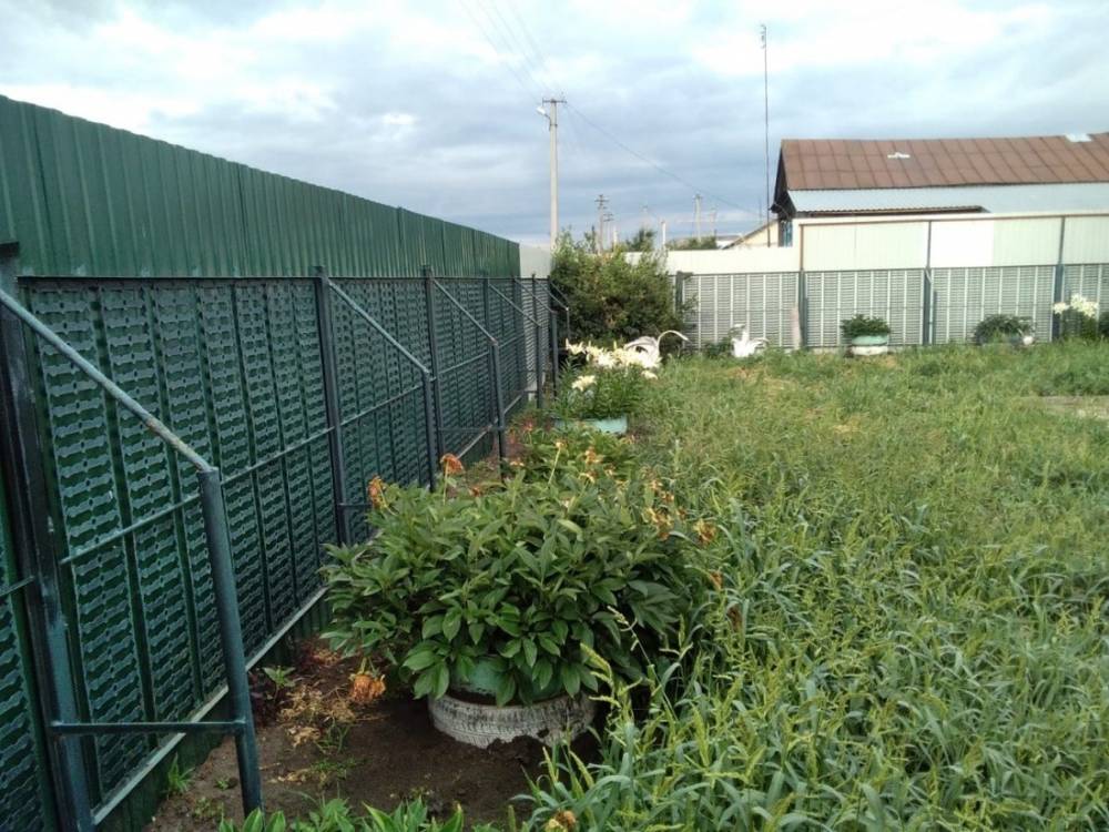 photo_2026-03-18_11-00-47