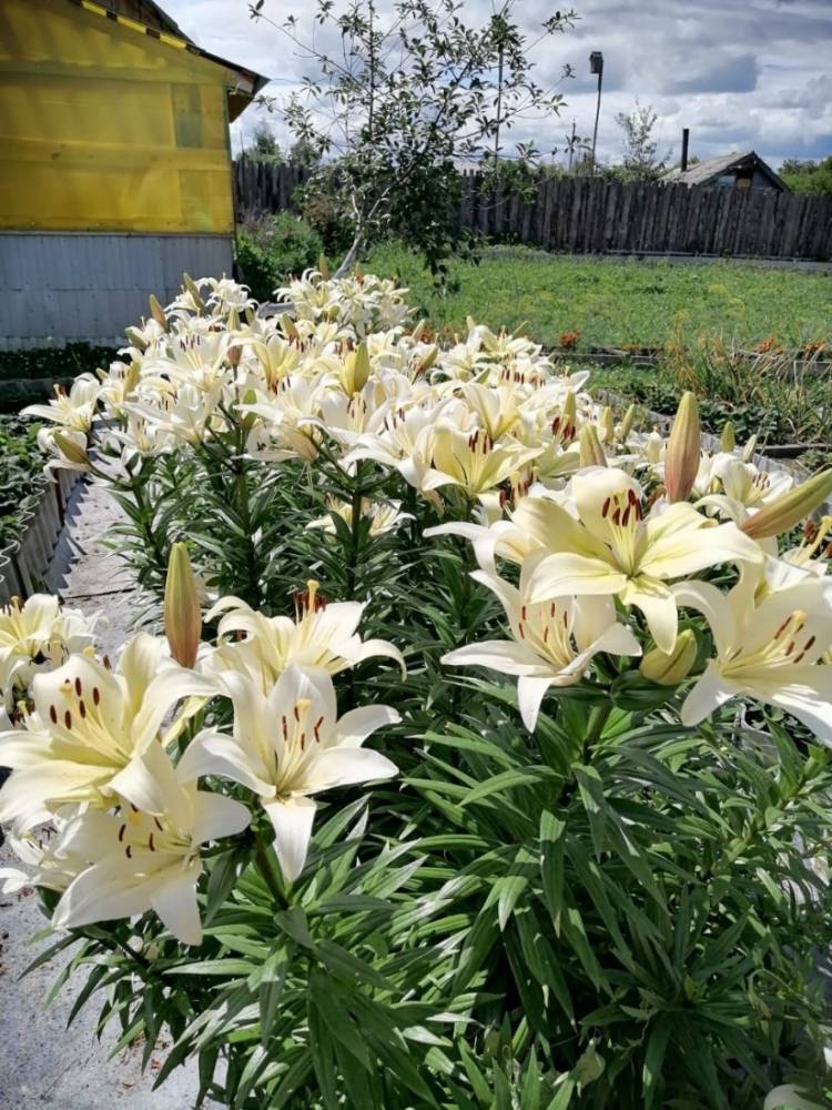 photo_2026-03-18_11-00-51