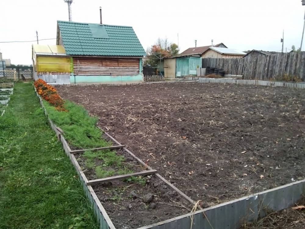 photo_2026-03-18_11-01-04