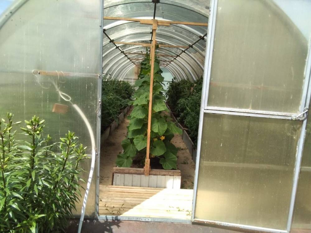 photo_2026-03-18_11-01-08