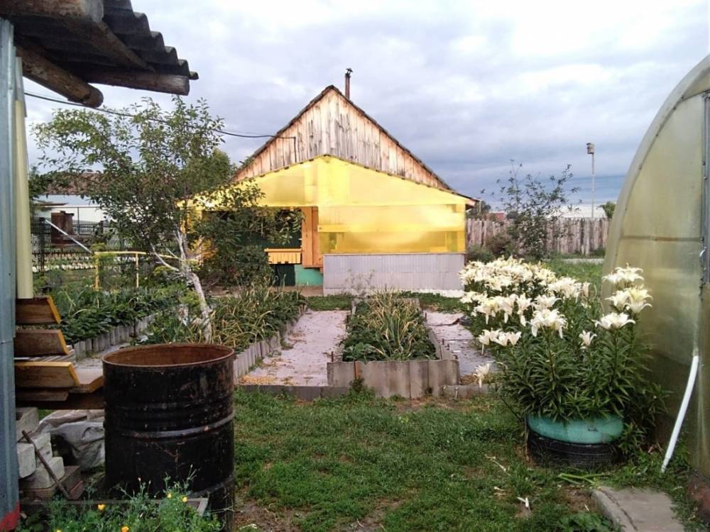 photo_2026-03-18_11-01-12