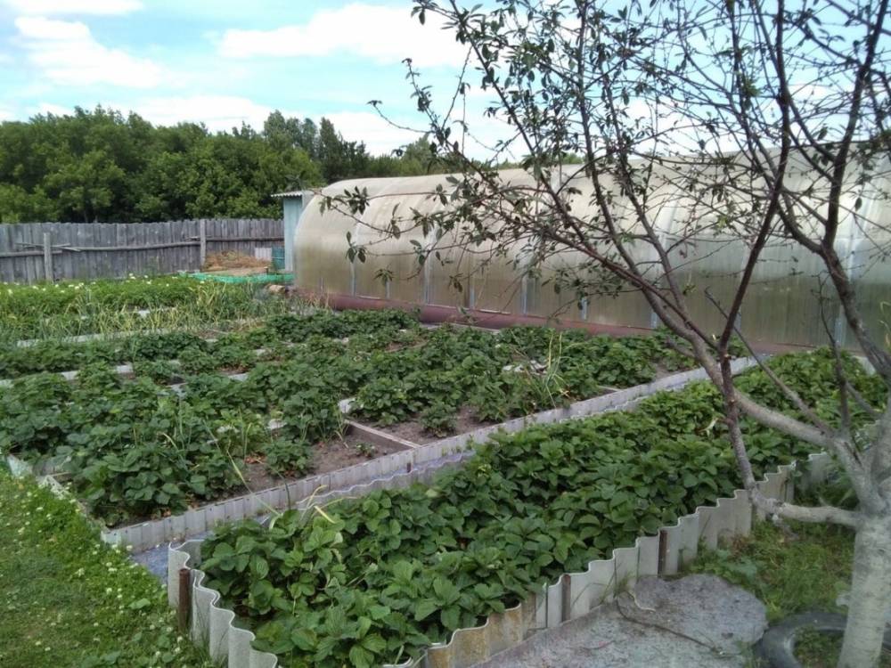 photo_2026-03-18_10-59-43