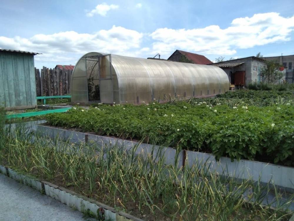 photo_2026-03-18_11-01-33