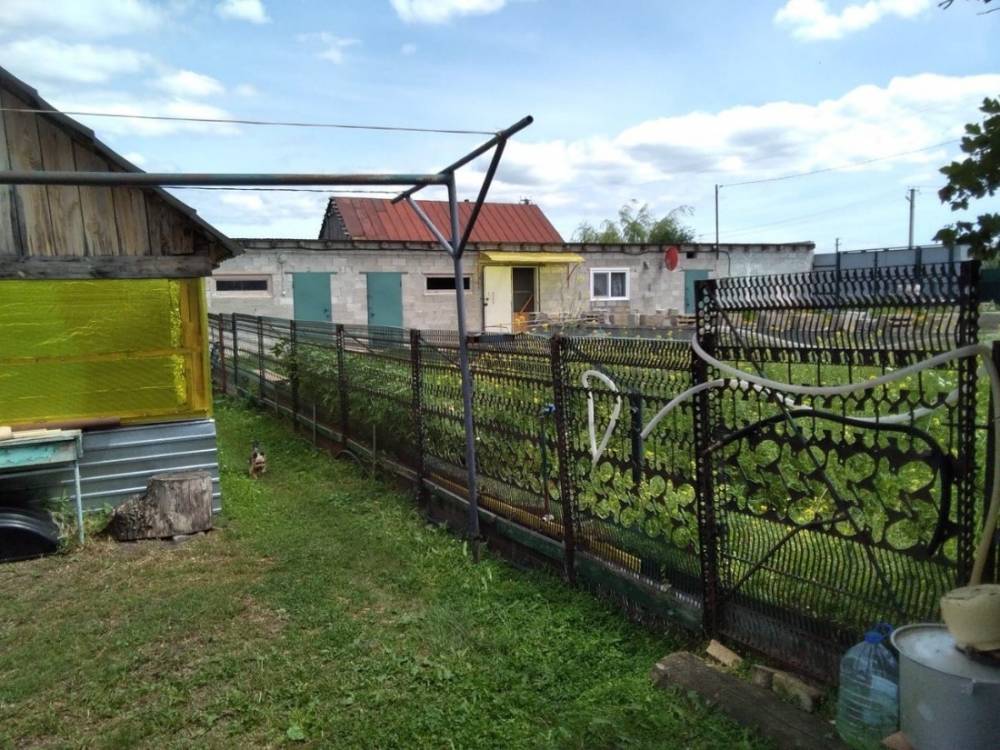 photo_2026-03-18_10-59-51