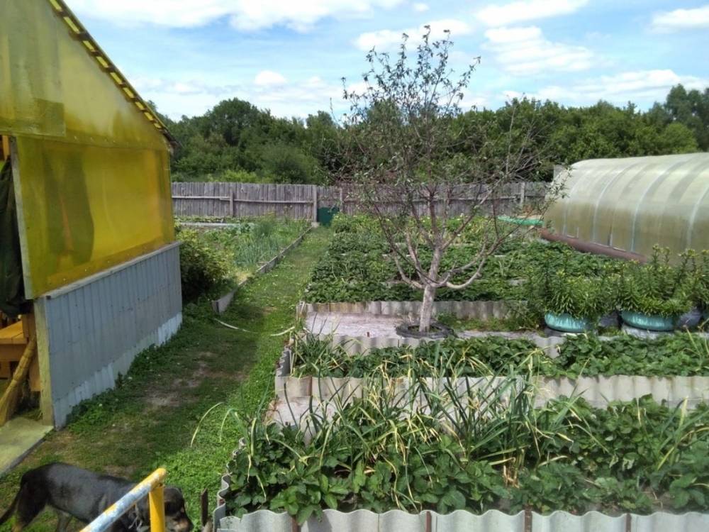 photo_2026-03-18_10-59-56