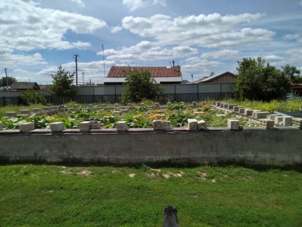 photo_2026-03-18_11-00-01