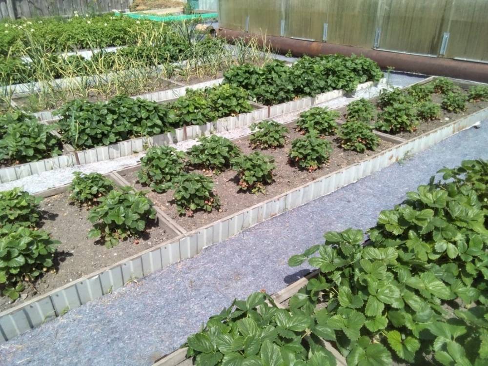 photo_2026-03-18_11-00-10