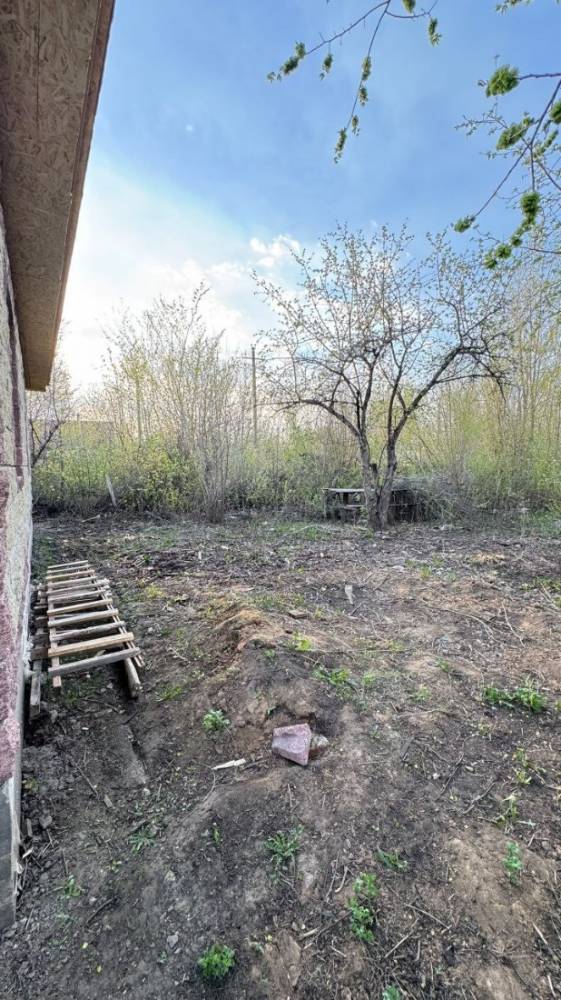 photo_3_2026-03-12_12-32-00