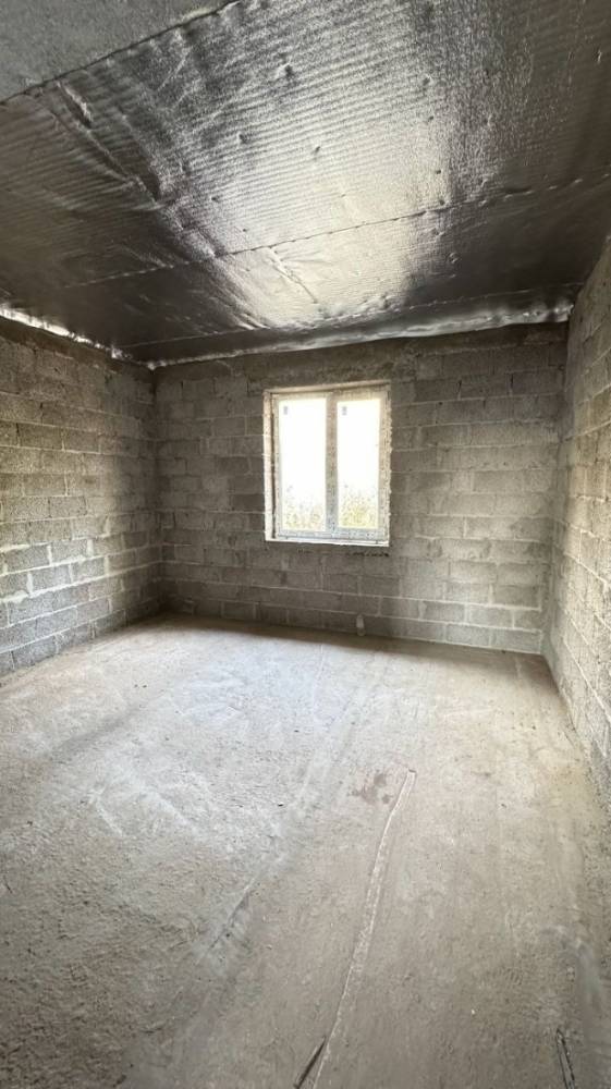 photo_4_2026-03-12_12-32-00