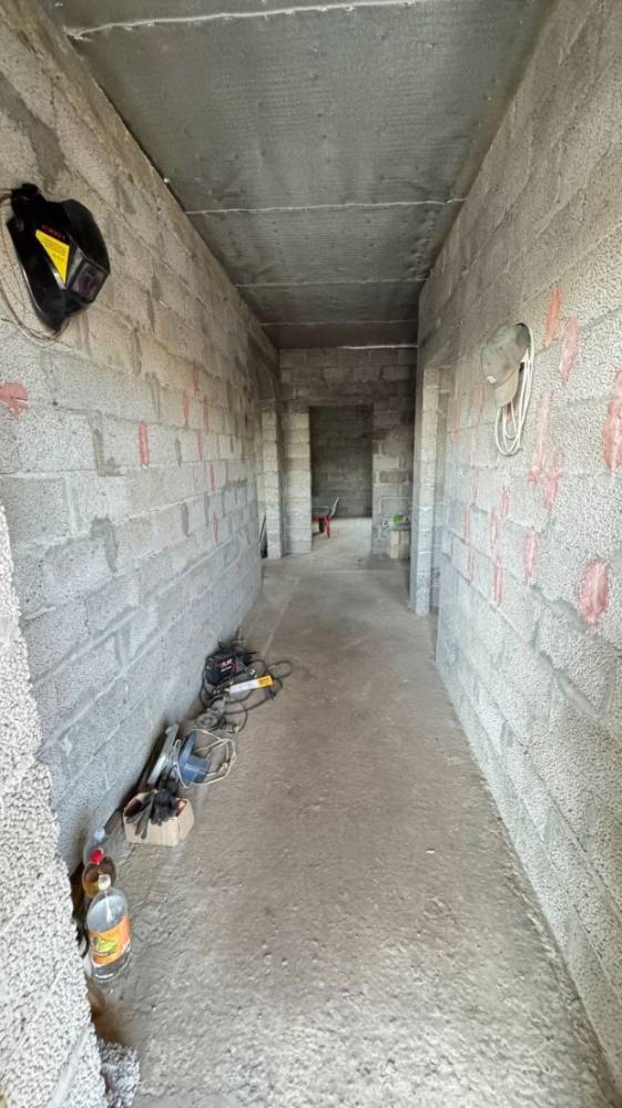 photo_5_2026-03-12_12-32-00