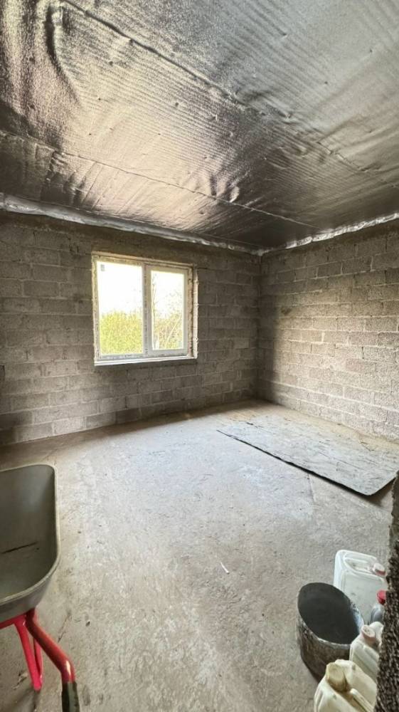 photo_9_2026-03-12_12-32-00