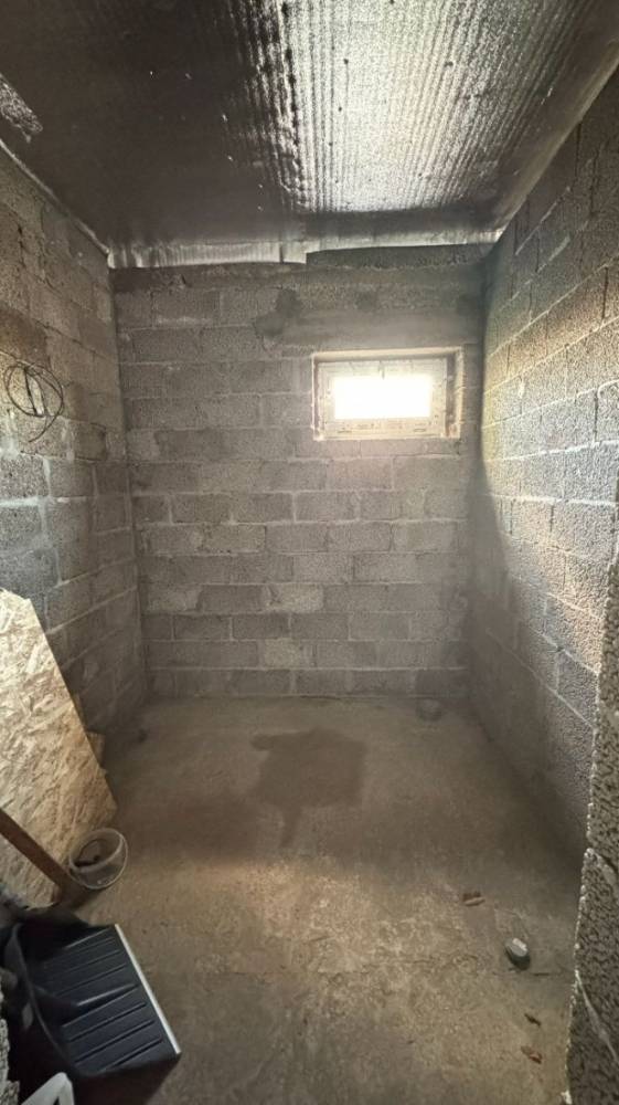 photo_8_2026-03-12_12-32-00