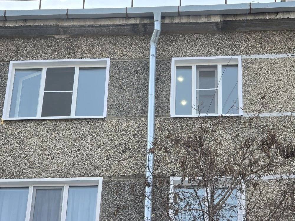 photo_2026-04-01_16-36-48