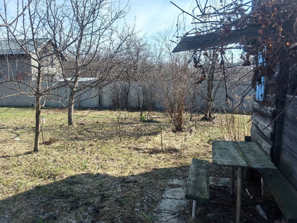 img_20260405_101224_1