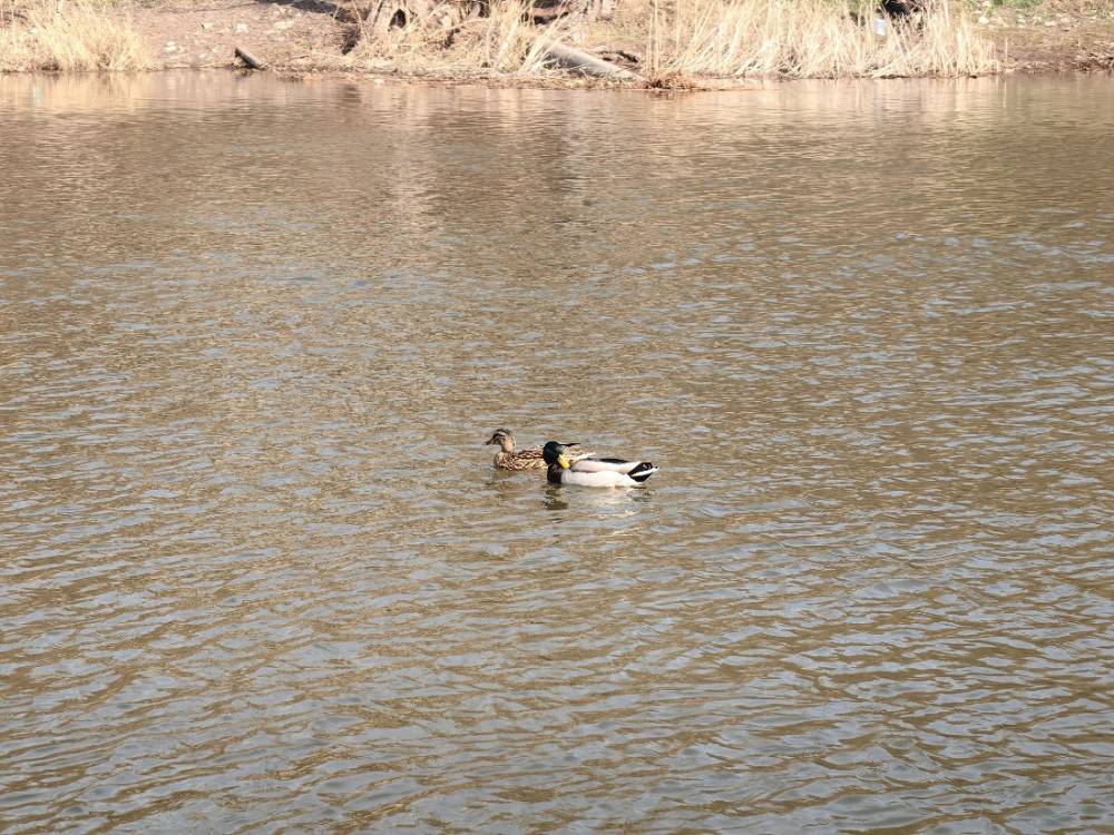 img_20260405_102603_1