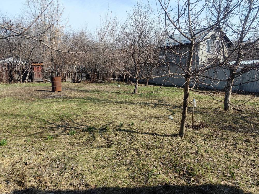 img_20260405_101229_1