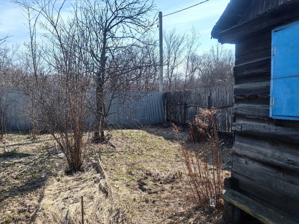 img_20260405_101305_1