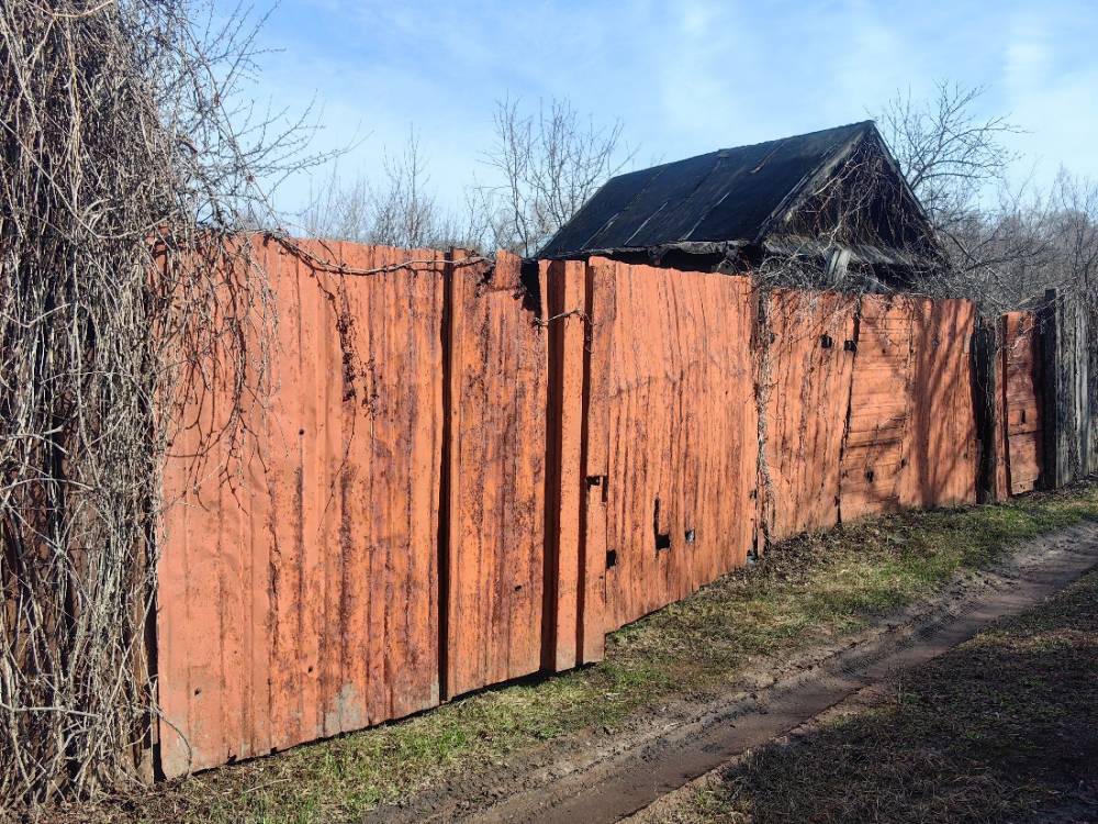 img_20260405_101938_1