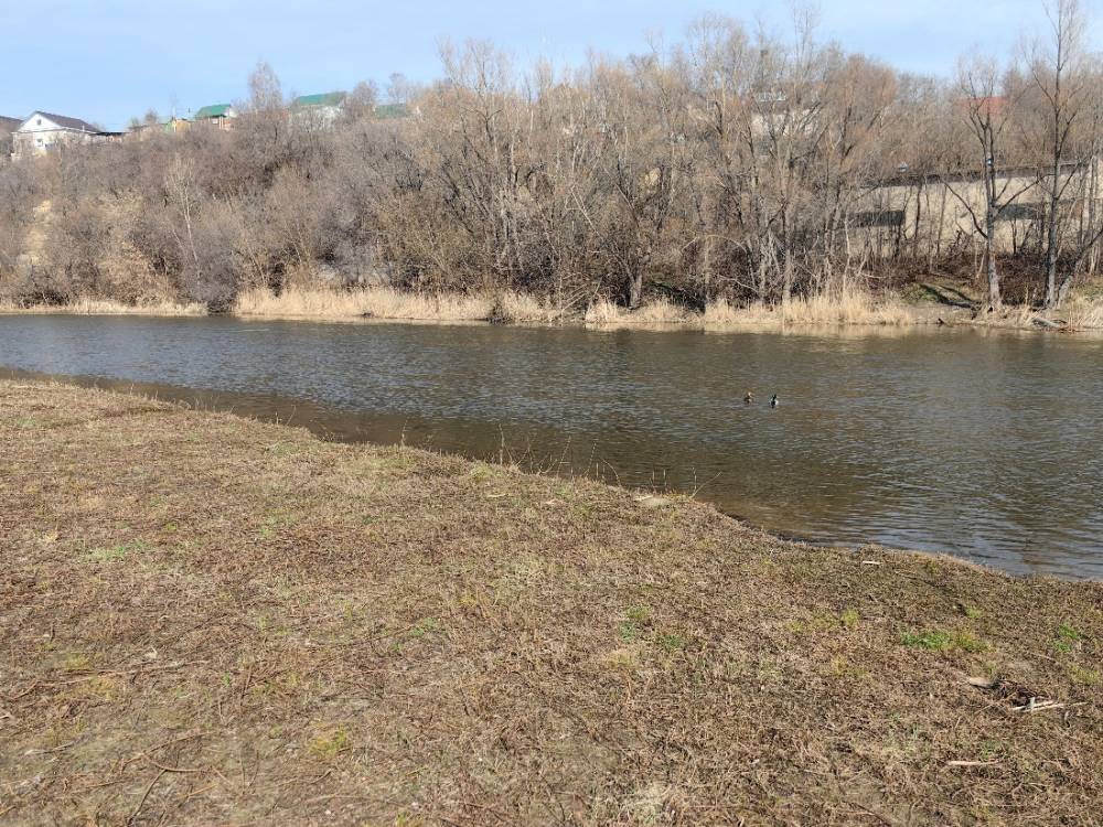 img_20260405_102526_1