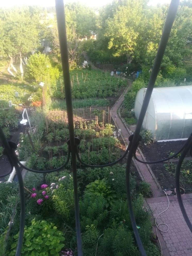 photo_2026-04-08_10-58-45