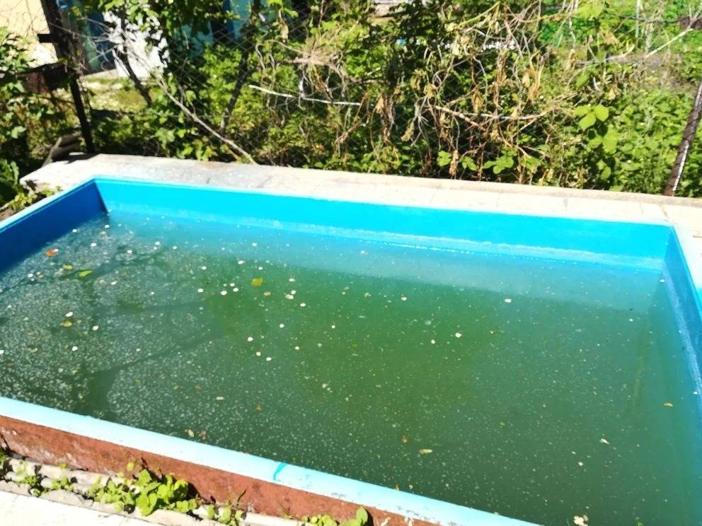 photo_2026-04-08_10-58-26