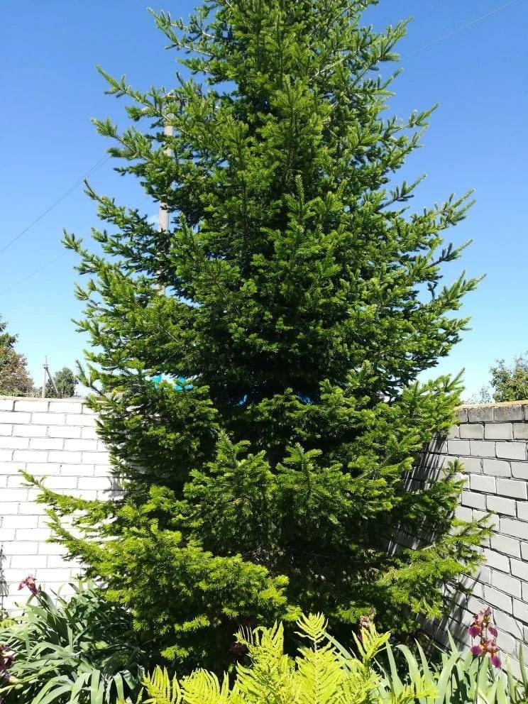 photo_2026-04-08_10-58-22