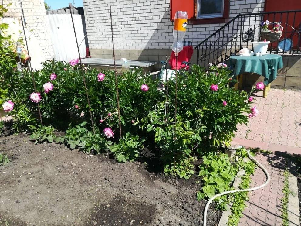 photo_2026-04-08_10-58-17