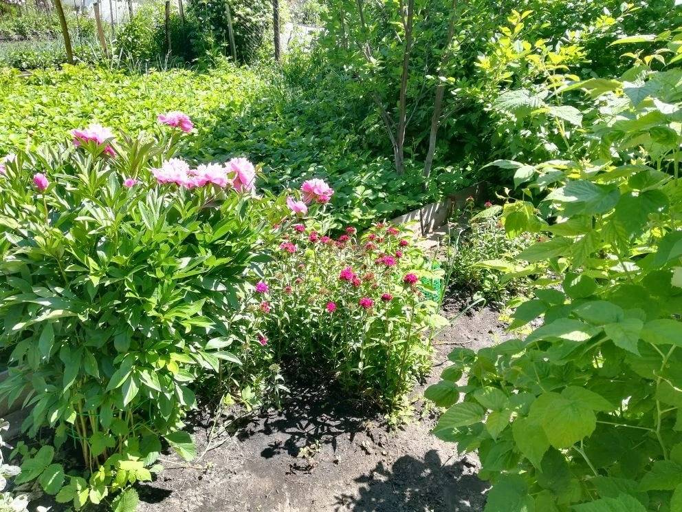 photo_2026-04-08_10-58-12