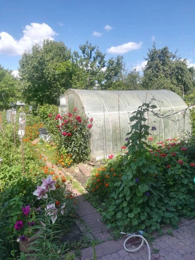 photo_2026-04-08_10-59-15