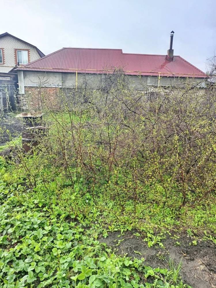 photo_2026-04-24_17-52-20