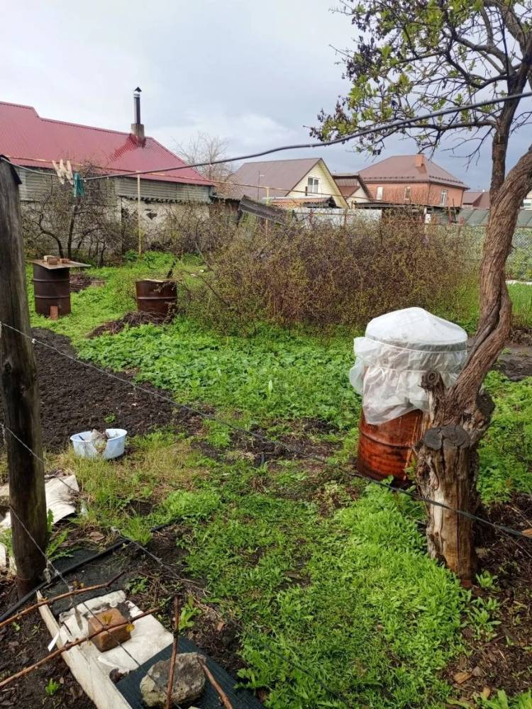 photo_2026-04-24_17-52-26