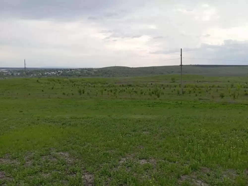 384159e5-1f47-43e0-9650-6005ff491d70