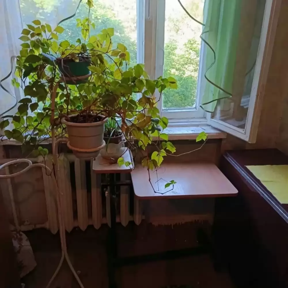 Гостиная