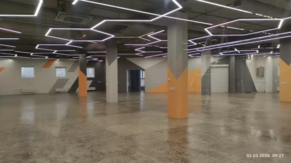 рим тлт (3)