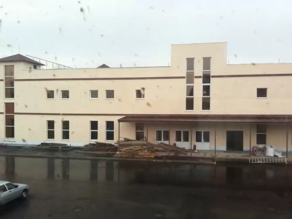 рим тлт (6)
